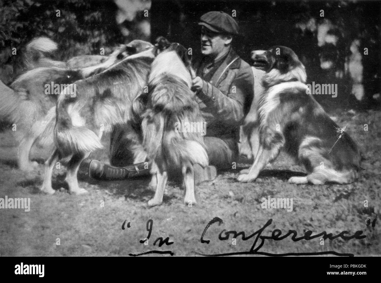 The Sunnybank Collies Stock Photo Alamy
