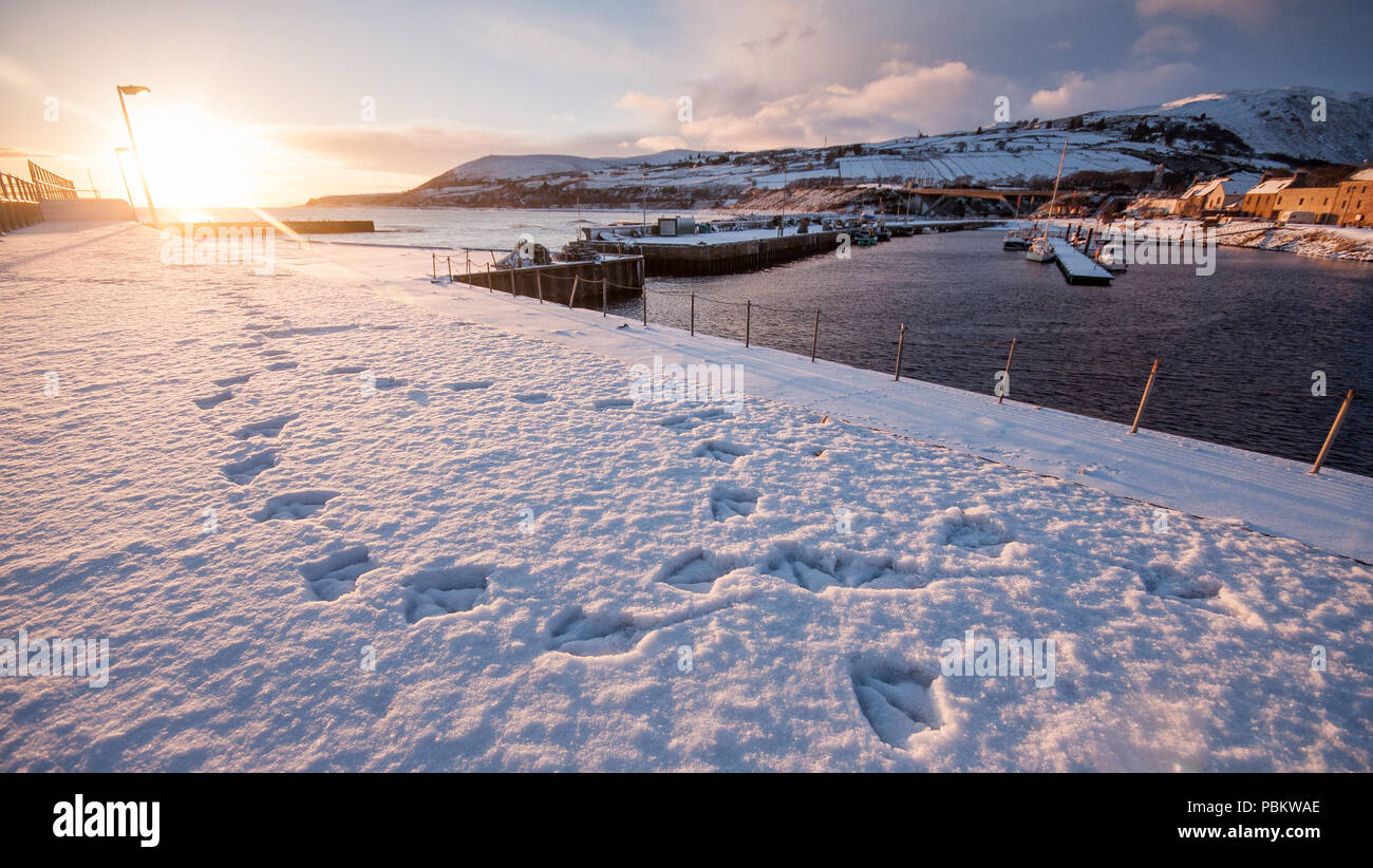Footprints from seabirds are frozen into snow on the breakwater sea wall of Helmsdale Harbour on the Moray Firth coast of the Scottish Highlands. Stock Photo