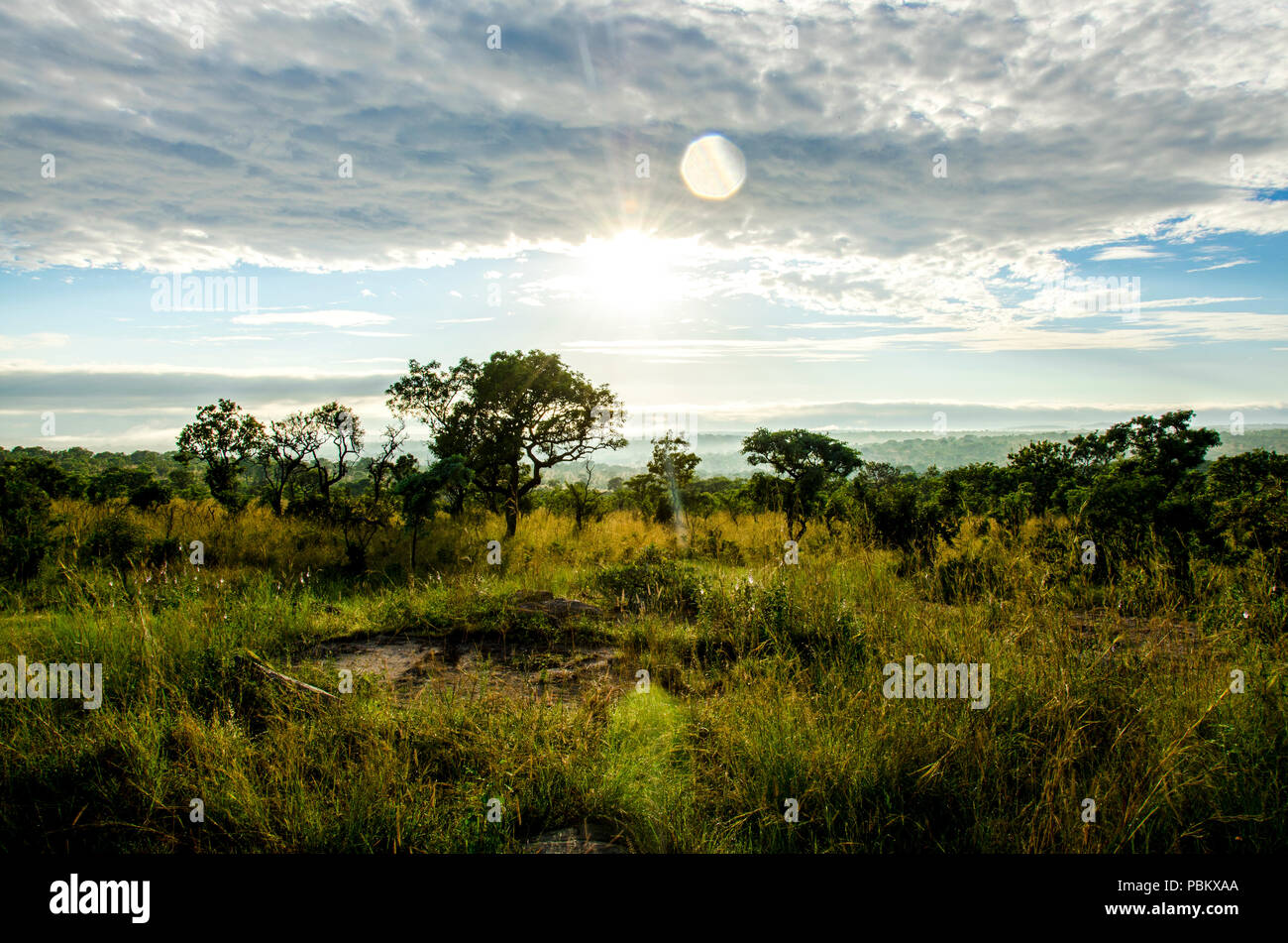 The sun rising over Kruger National Park in South Africa Stock Photo
