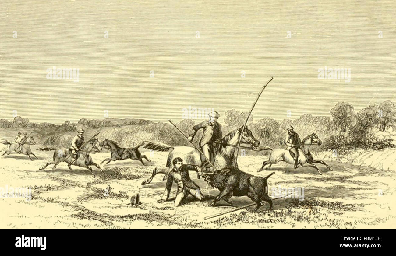 763 Hog Hunting in the East (1867) JT Newall II Stock Photo