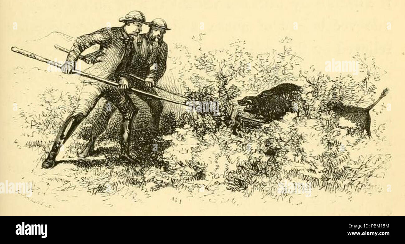 763 Hog Hunting in the East (1867) JT Newall V Stock Photo