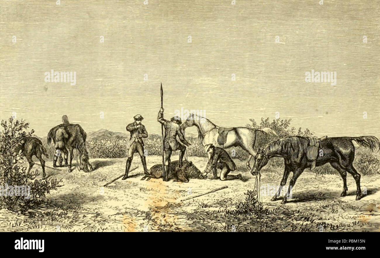 763 Hog Hunting in the East (1867) JT Newall VI Stock Photo