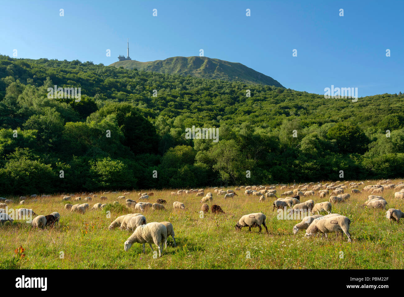 Regional natural park of auvergne volcanoes hi-res stock photography ...