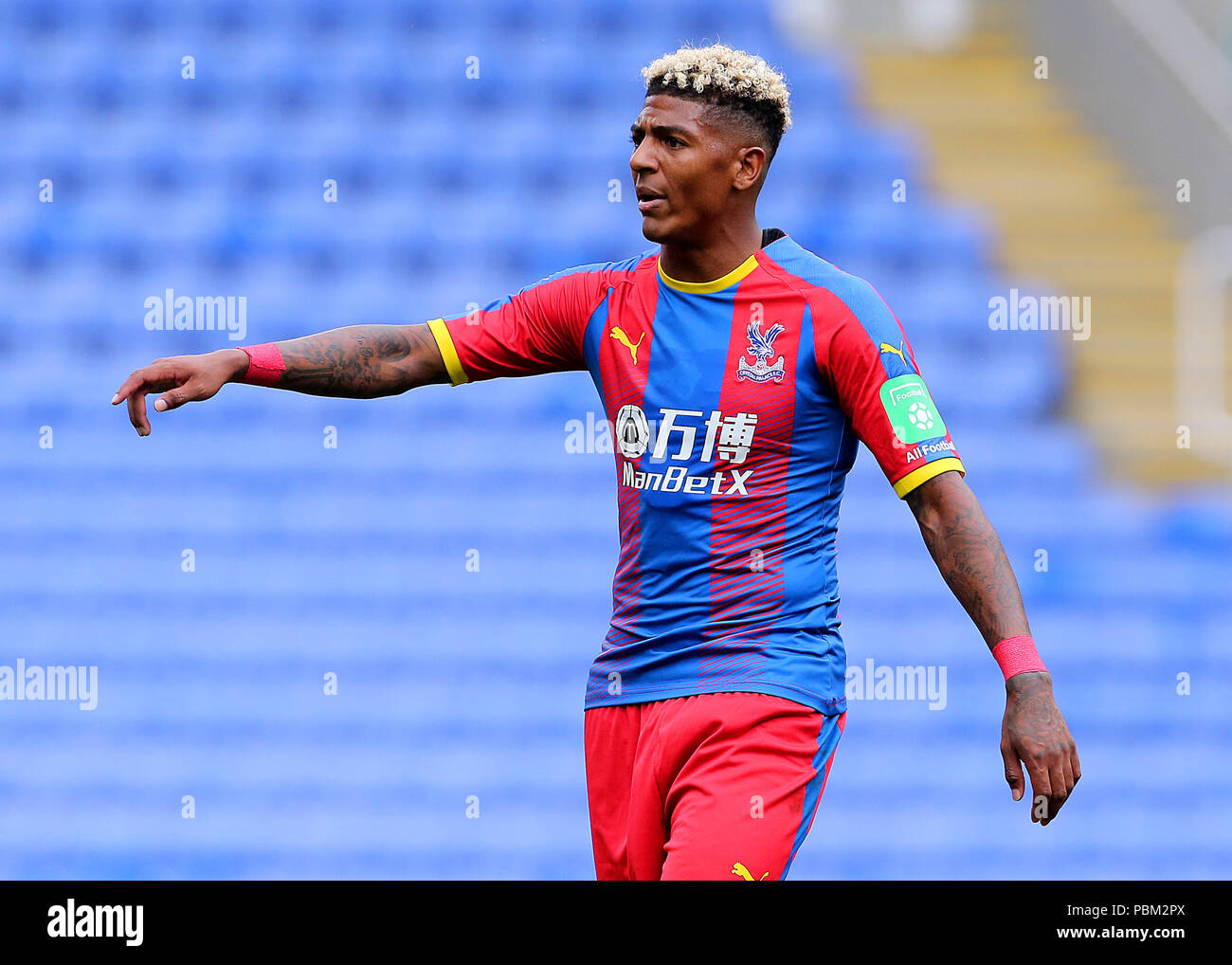 Patrick Van Aanholt Stock Photos & Patrick Van Aanholt ...