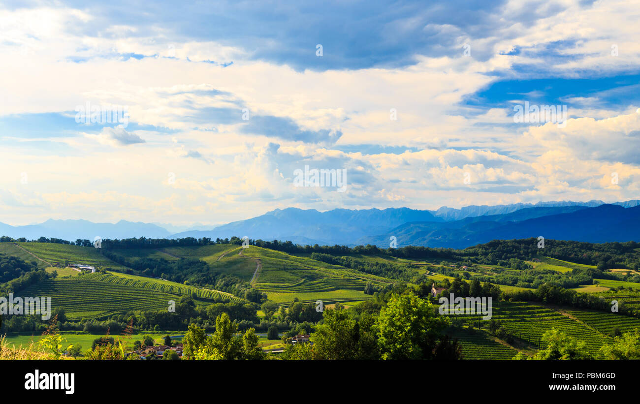 Slovenia italian border vineyard hi-res stock photography and images ...