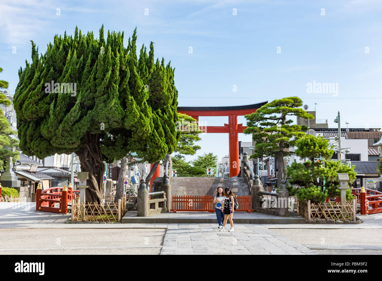 Two Japanese girls at the gates of the Hase-dera Buddhist Temple, Kamakura near Tokyo, Japan. A large green tree with branches growing upwards. Stock Photo