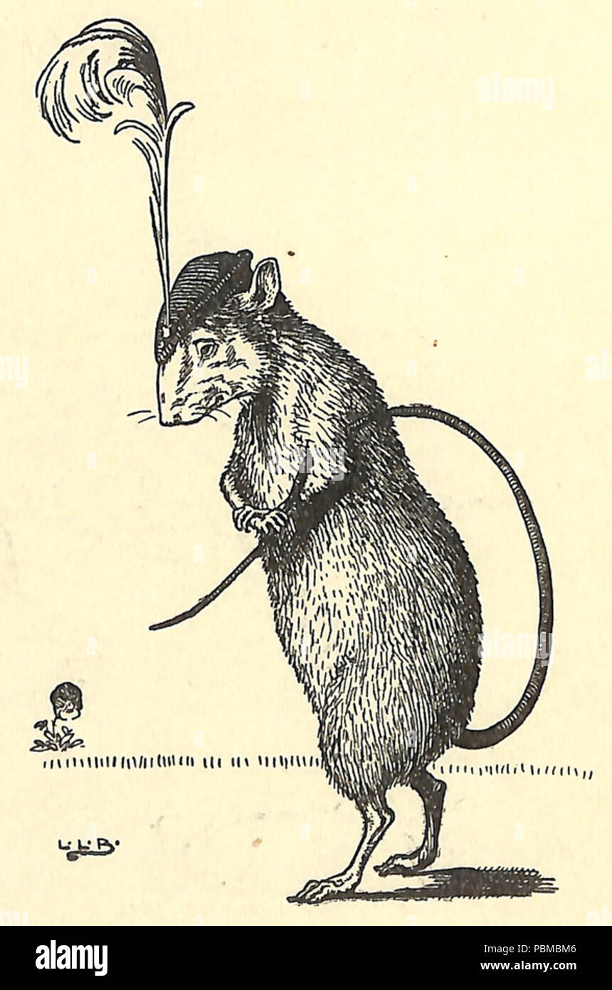 842 Johnny Crow's Garden - And the Rat Wore a Feather in his Hat Stock ...