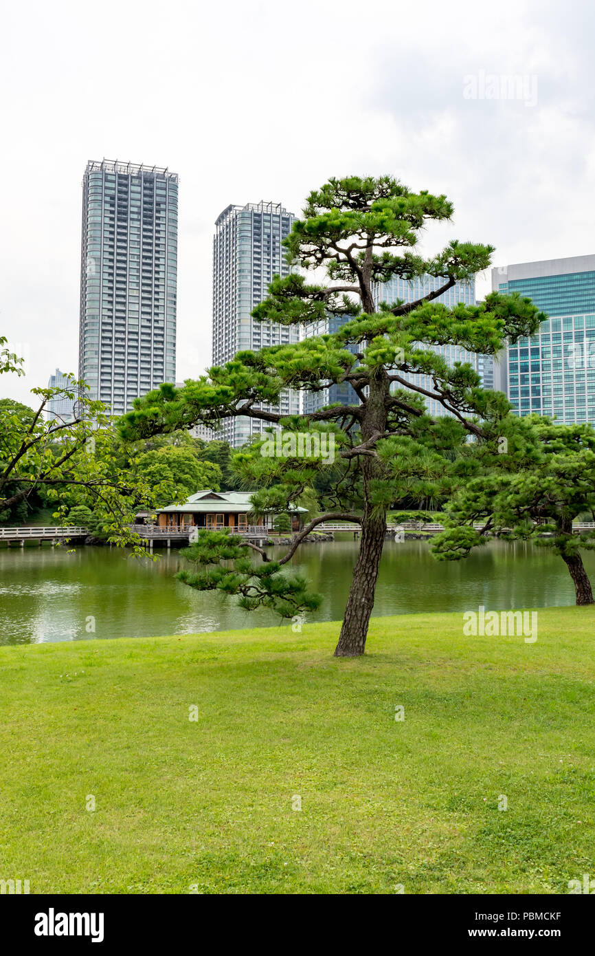 Bonsai gardens hires stock photography and images Alamy