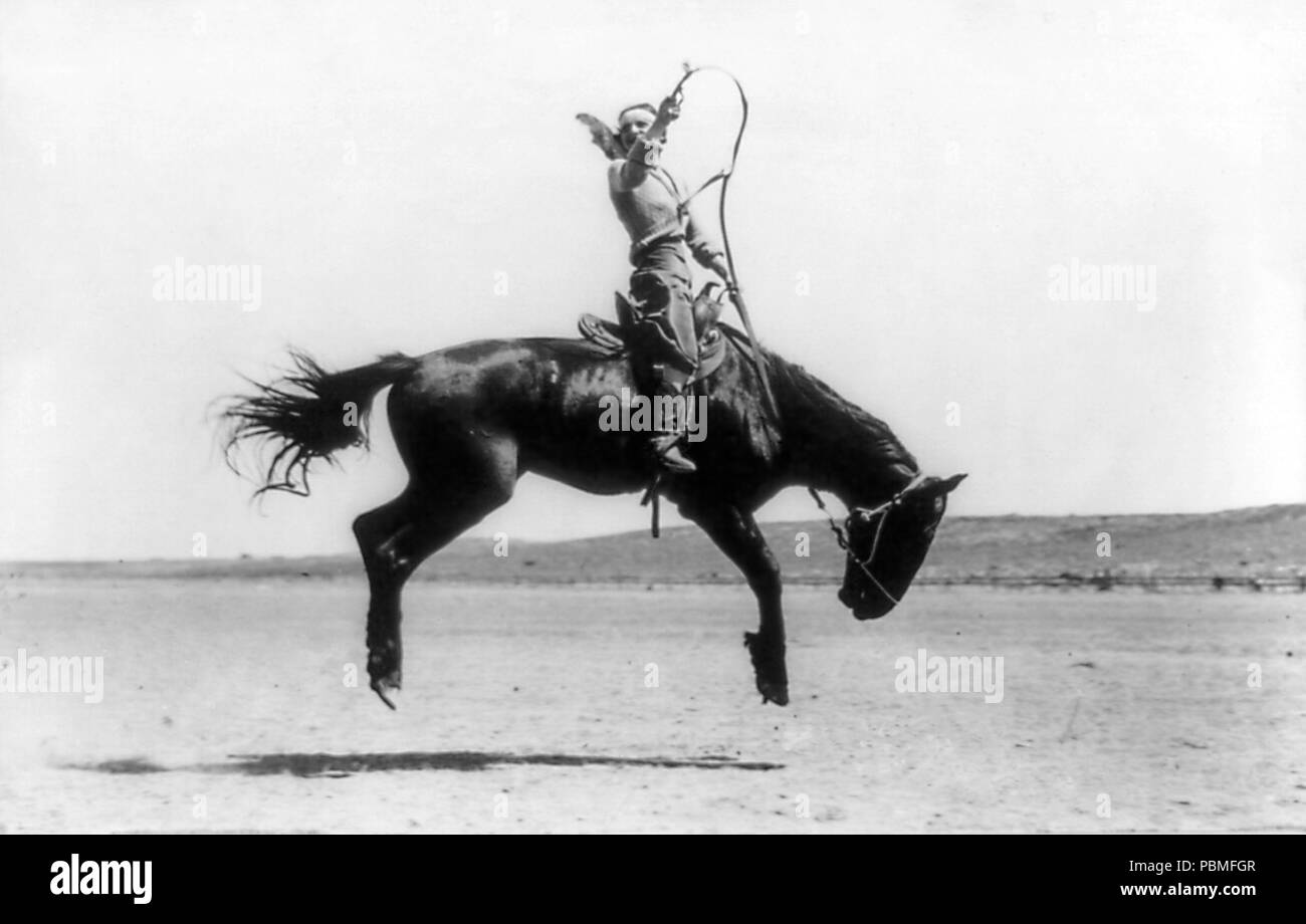 Champion lady rider hi-res stock photography and images - Alamy