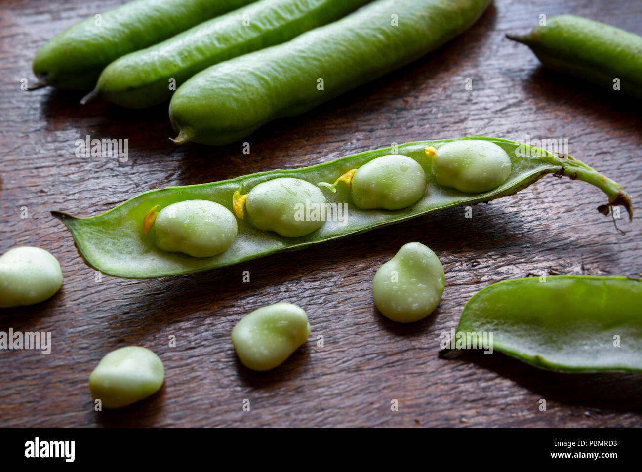 Feshly picked Broad Beans in their pod on a dark wooden kitchen table top Stock Photo