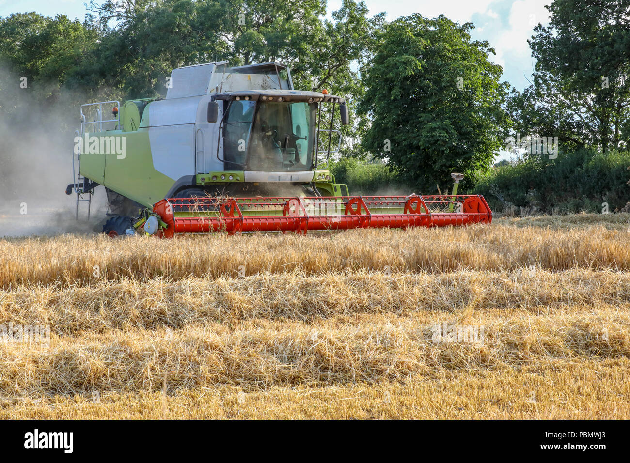 RH 45 degree angle across reel and cutting gear raised as combine harvester the a corner in a field of barley Stock Photo