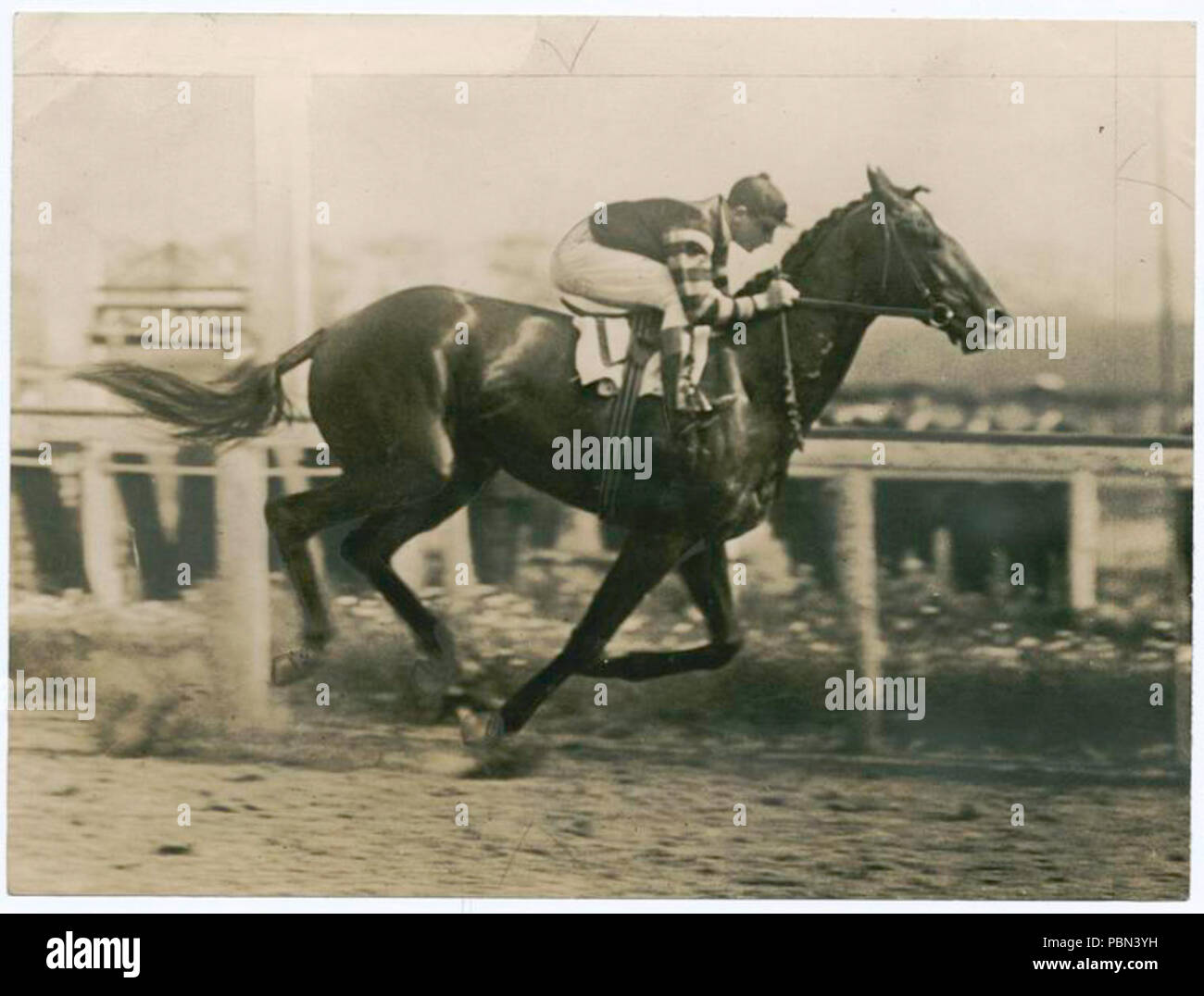 990 Man O War 1920 From Nypl Stock Photo Alamy 990-man-o-war-1920-from-nypl-stock-photo-alamy