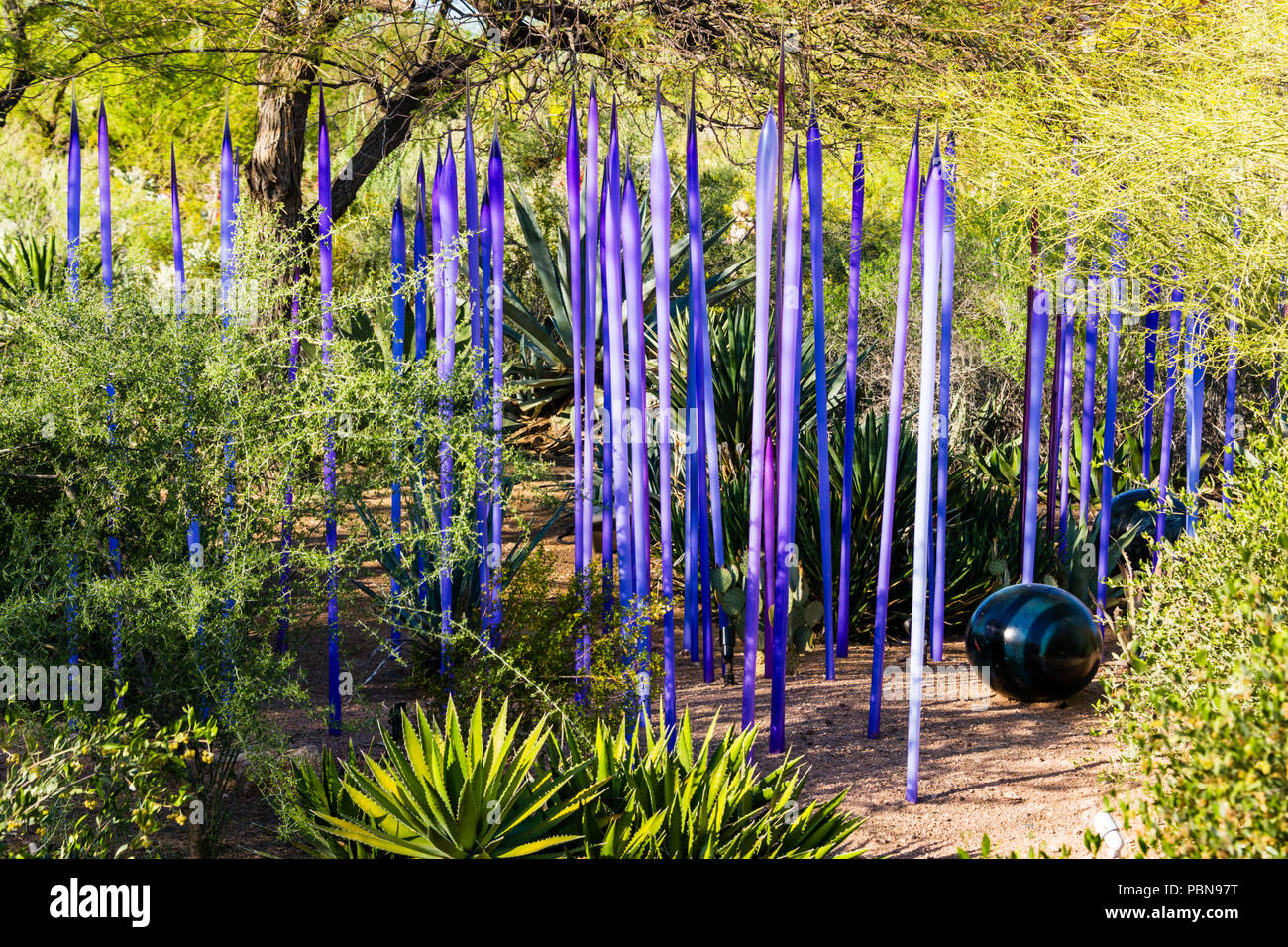Chihuly Neodymium Reeds at Desert Botanical Garden, Phoenix Stock Photo