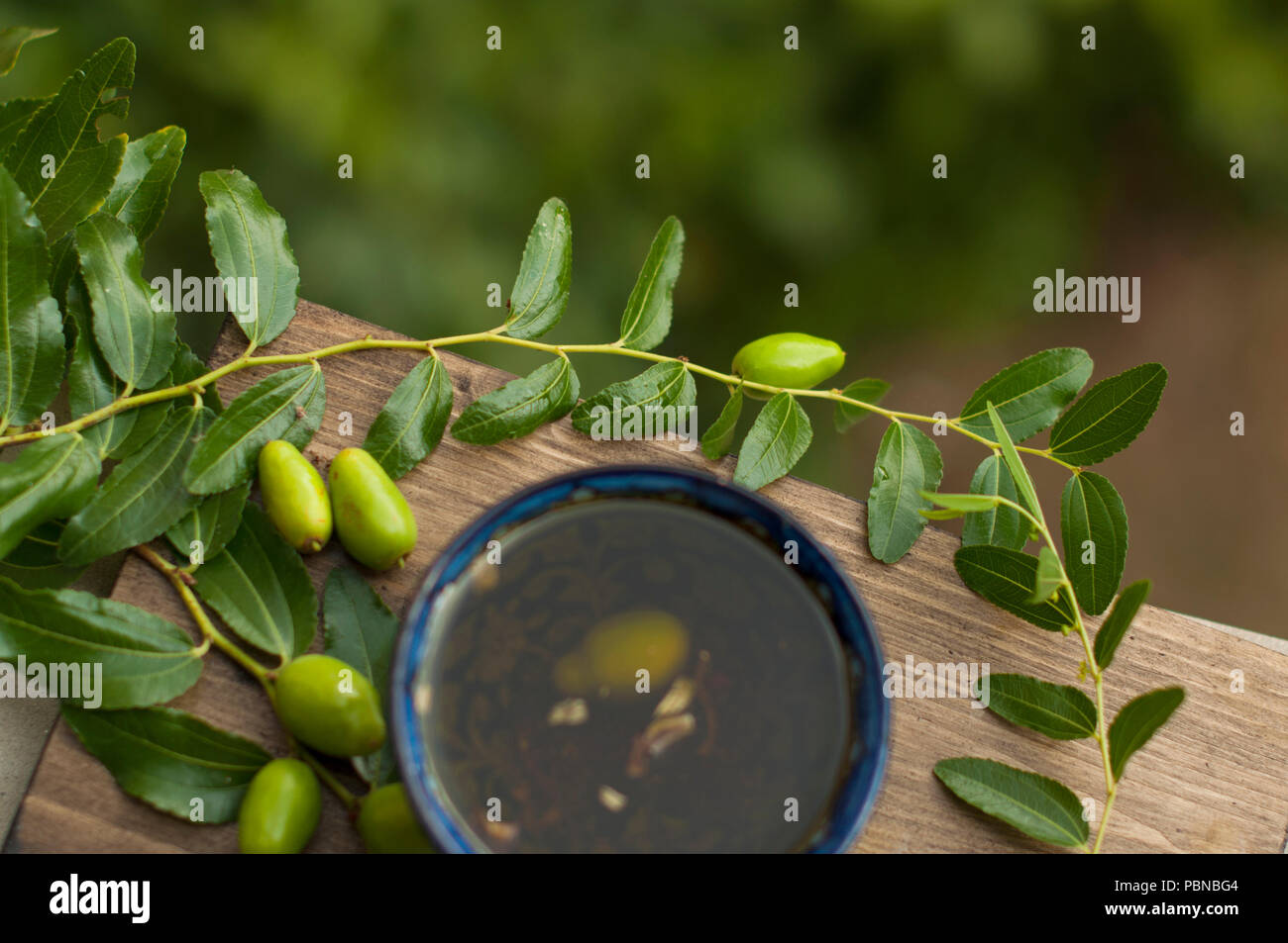 the olive oil in the cup. Branch of an olive tree with fresh olives