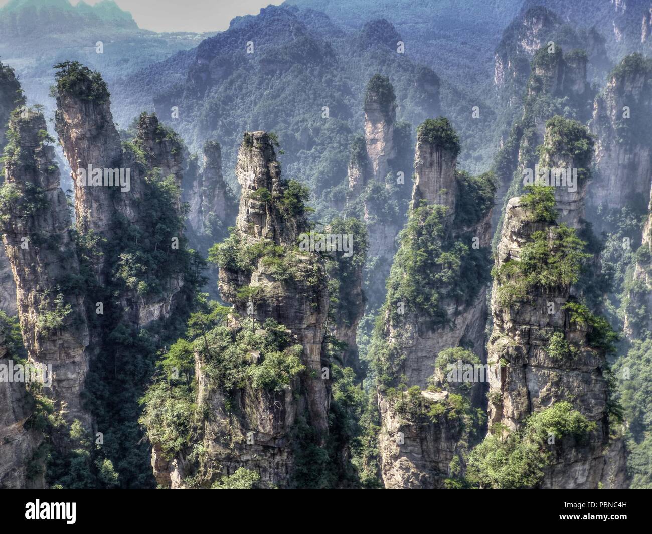 Zhangjiajie National Park China Avatar Mountains Stock Image  Image of  hunnan landscape 145472377