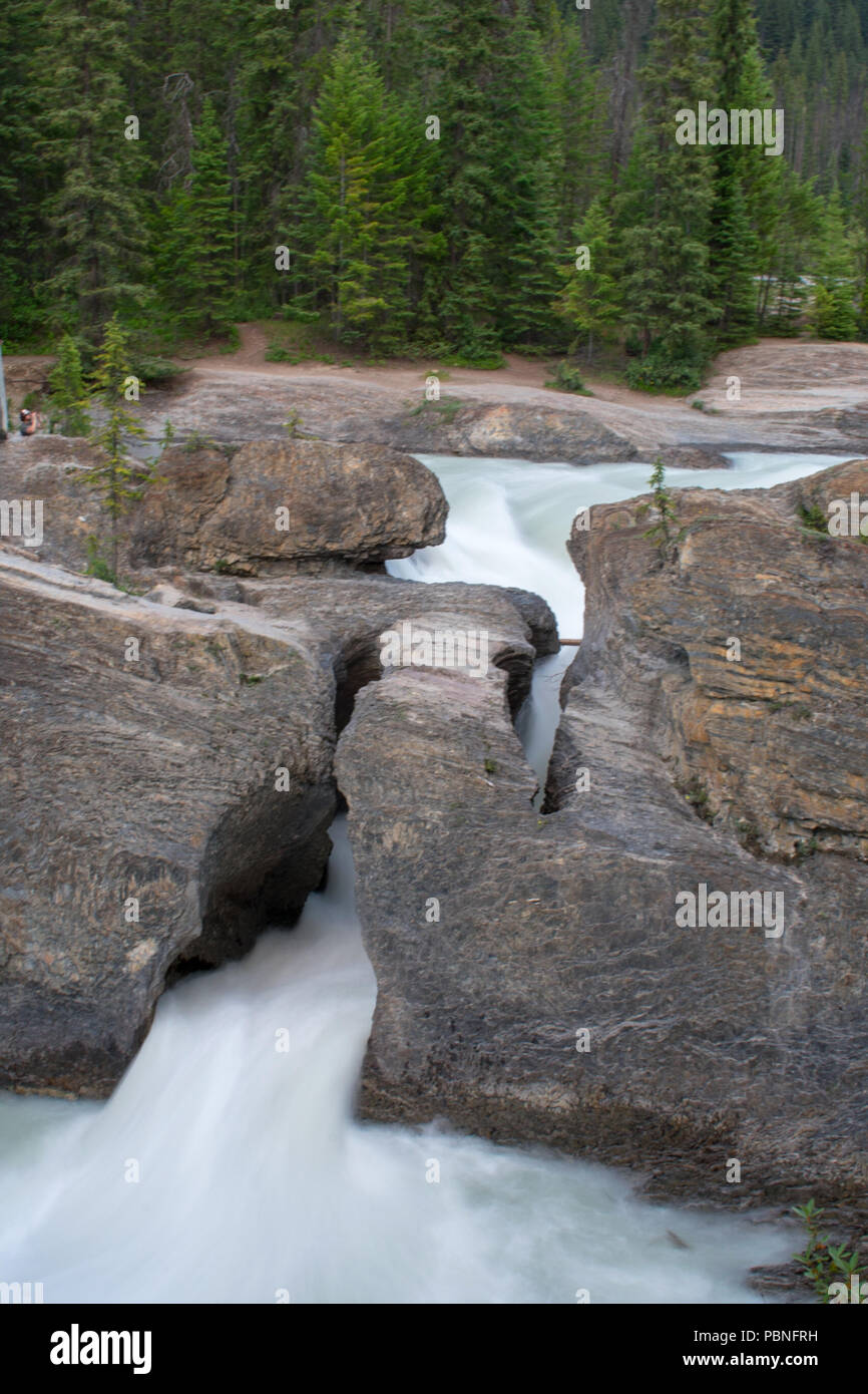 Natural Bridge in Yoho National Park, British Columbia, Canada Stock Photo Alamy
