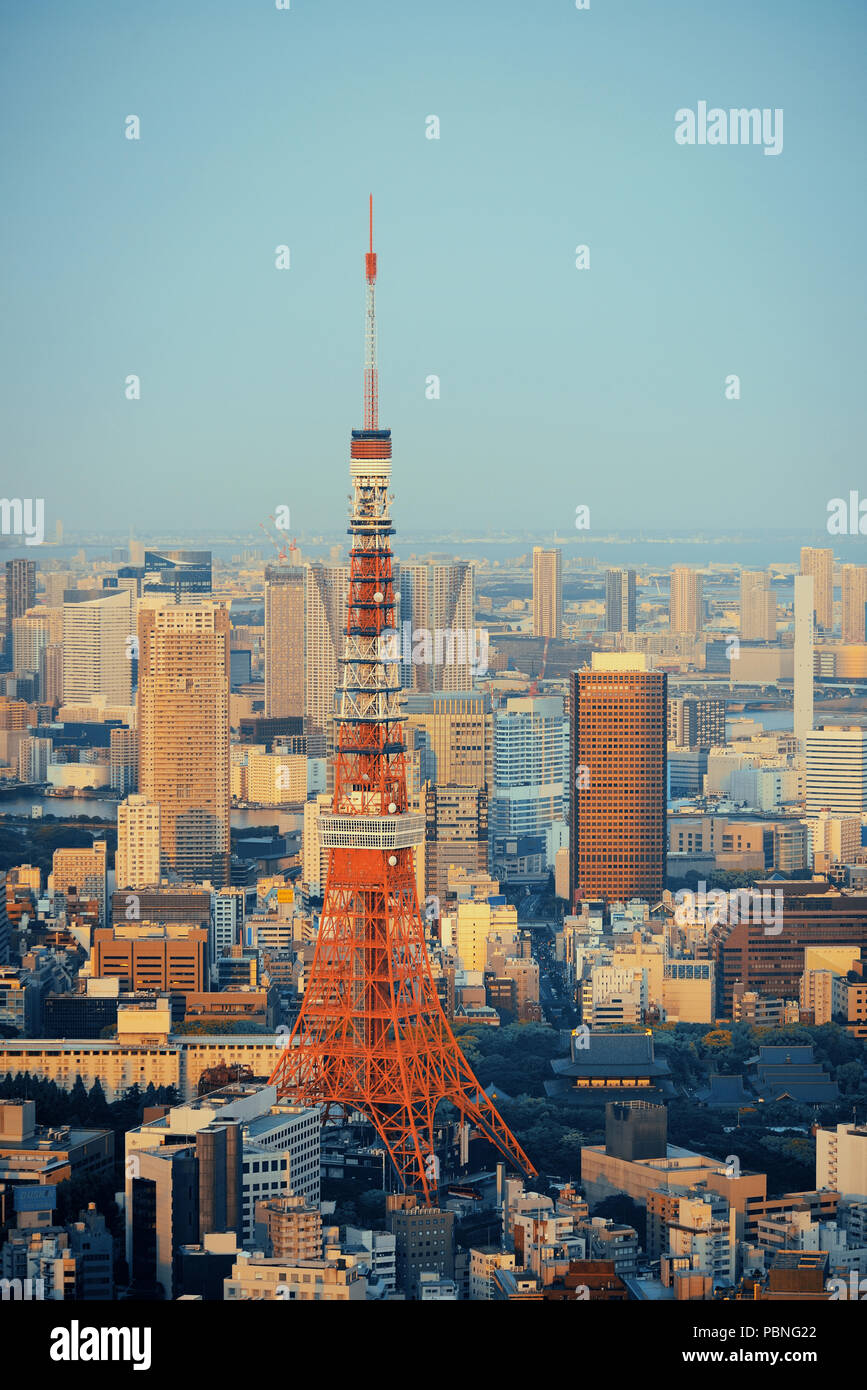 Tokyo Tower and urban skyline rooftop view at sunset, Japan. Stock Photo