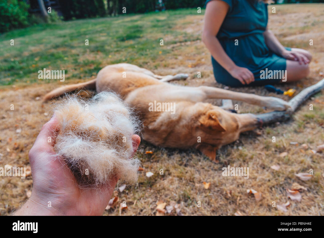 Personal perspective of man holding ball of dog hair after pet grooming