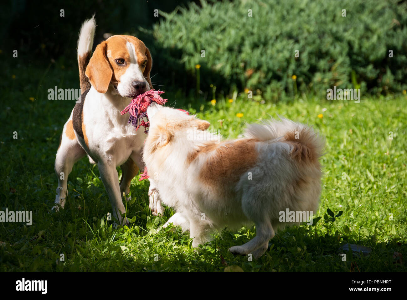 Exitment hi-res stock photography and images - Alamy
