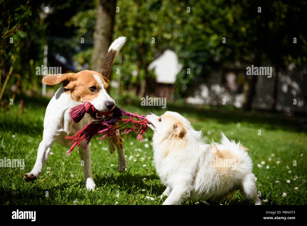 Exitment hi-res stock photography and images - Alamy