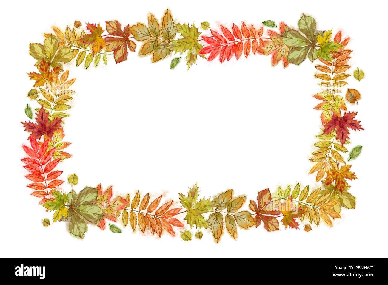 Autumn Leaves Rectangular Frame Isolated on White. Watercolor Autumnal Design for Print, Cards, Announcement, Invitation, Menu etc. Stock Photo