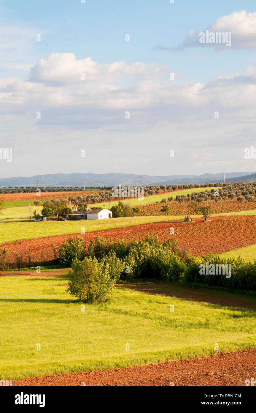 Landscape. Campo de Calatrava, Ciudad Real province, Castilla La Mancha, Spain. Stock Photo