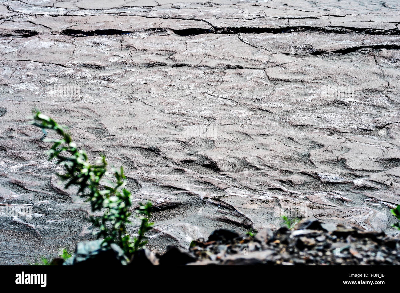 Concept global warming dry hi-res stock photography and images - Alamy