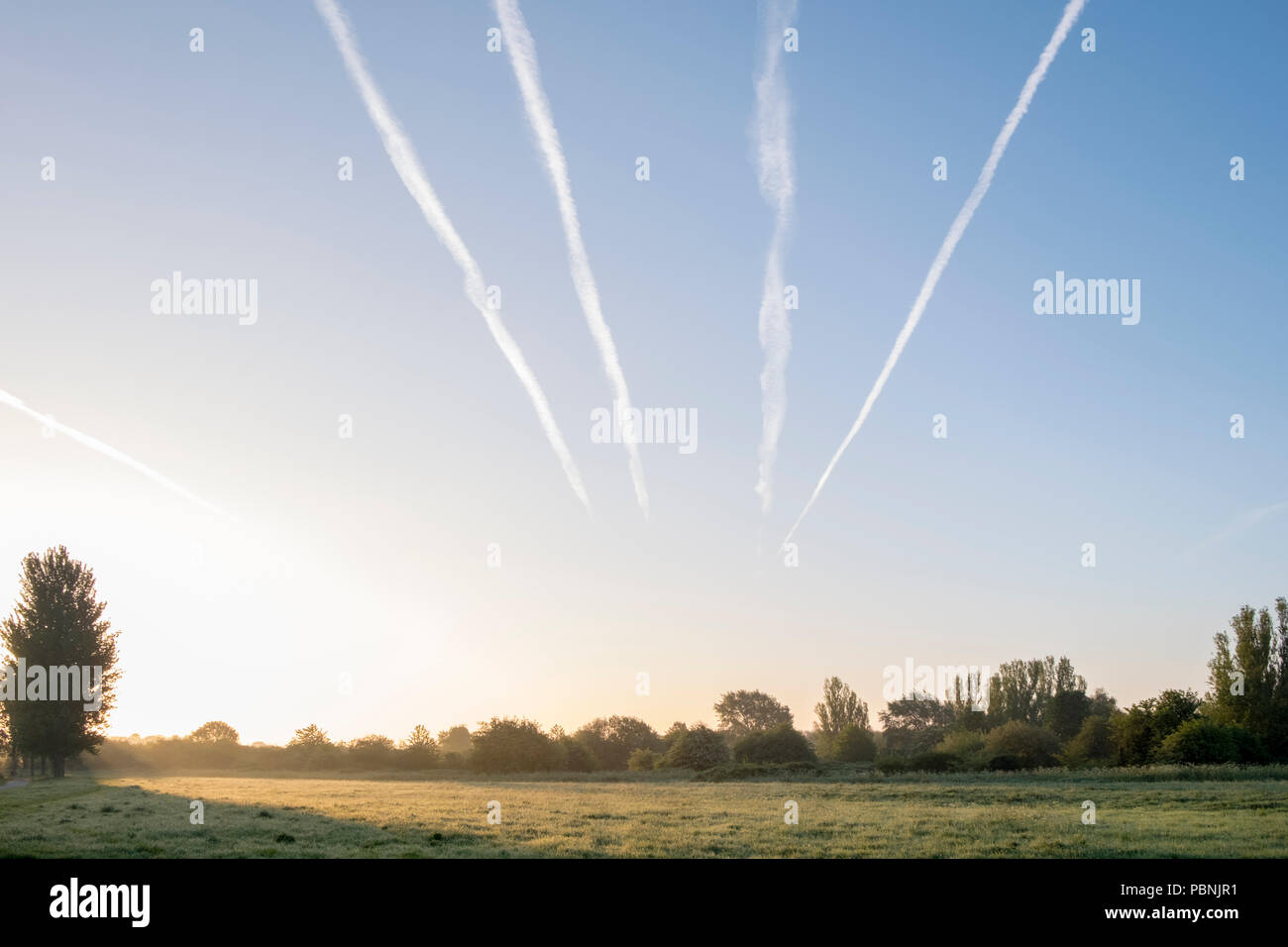 Aircraft contrails in the sky at dawn over a field in the Nottinghamshire countryside, England, UK Stock Photo