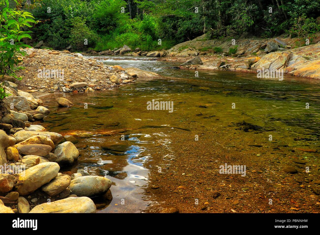 South Toe River in the Blue Ridge Mountains in North Carolina Stock Photo Alamy