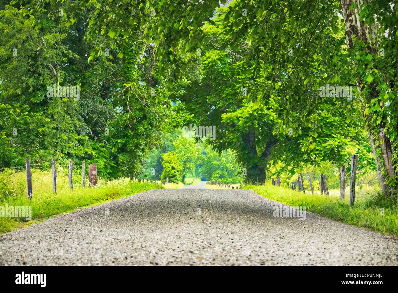 Blue Ridge Mountain Gravel Road Stock Photo Alamy