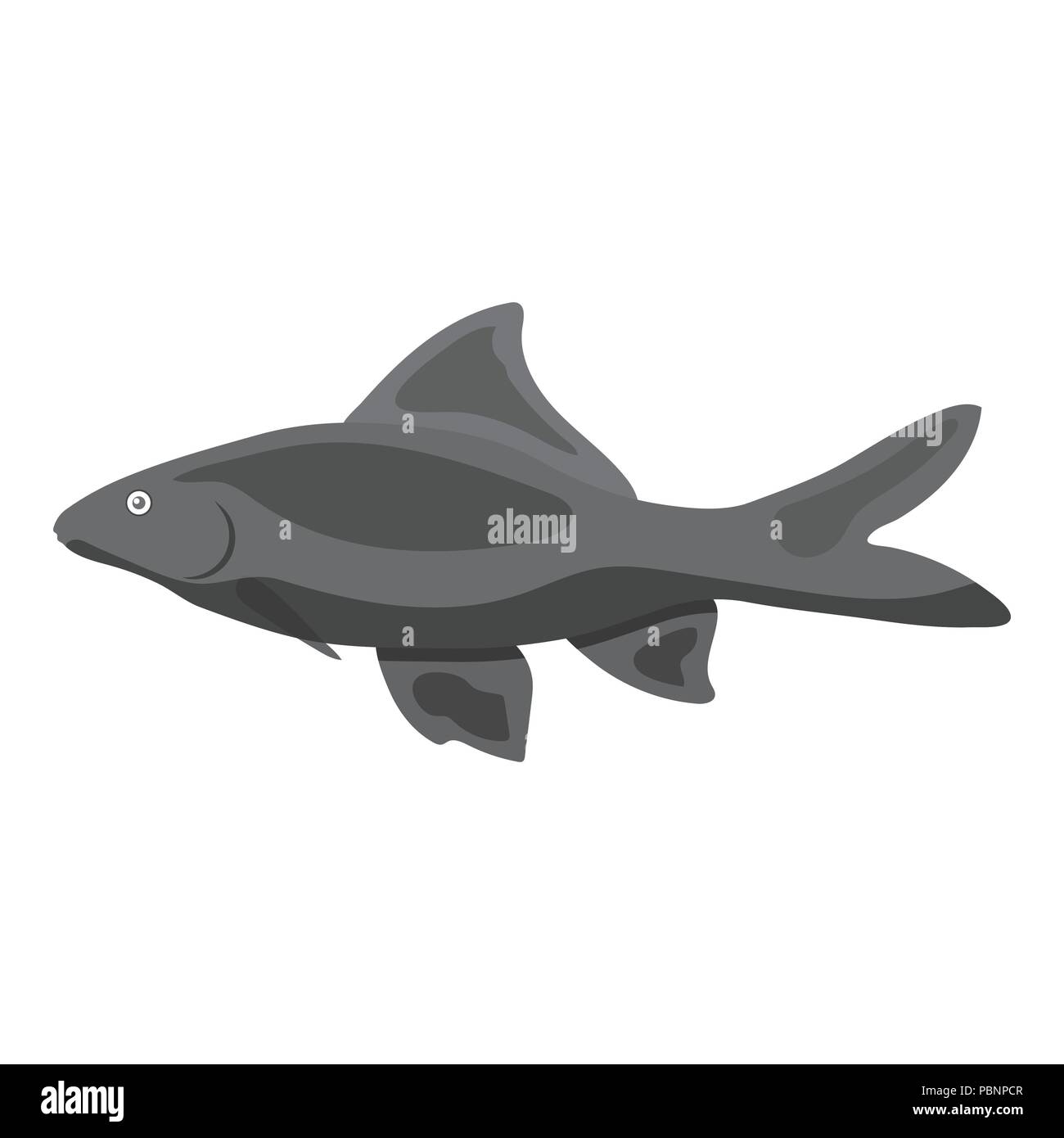 Red Tail Shark fish icon monochrome. Singe aquarium fish icon from the sea,ocean life monochrome. Stock Vector