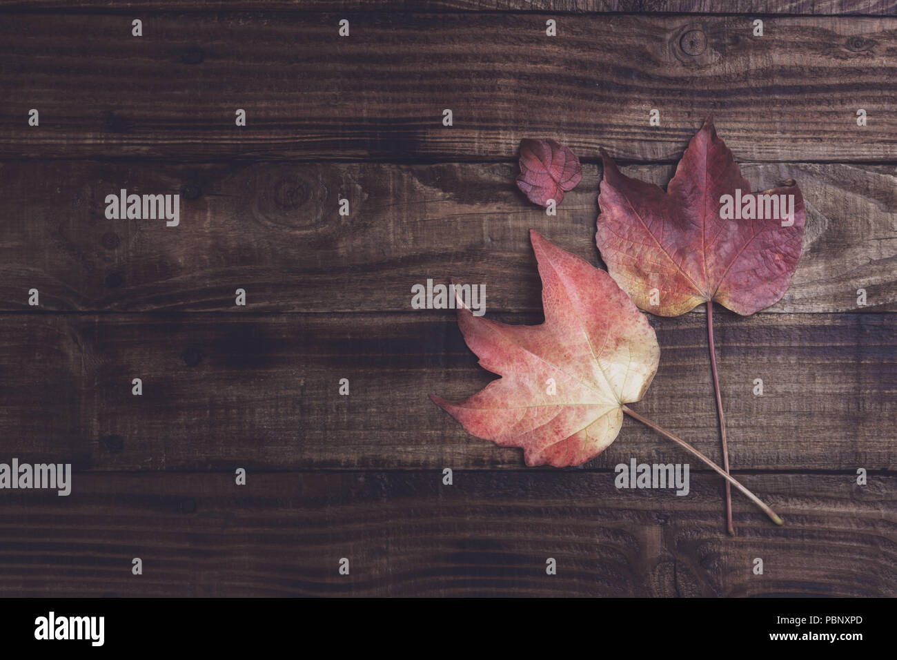 Autumn leaves over dark wooden vintage background with copy space Stock ...