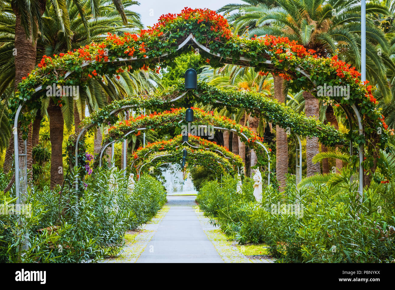 Green arch way in Garcia Sanabria park Santa Cruz de Tenerife, Tenerife, Canary Islands Stock Photo