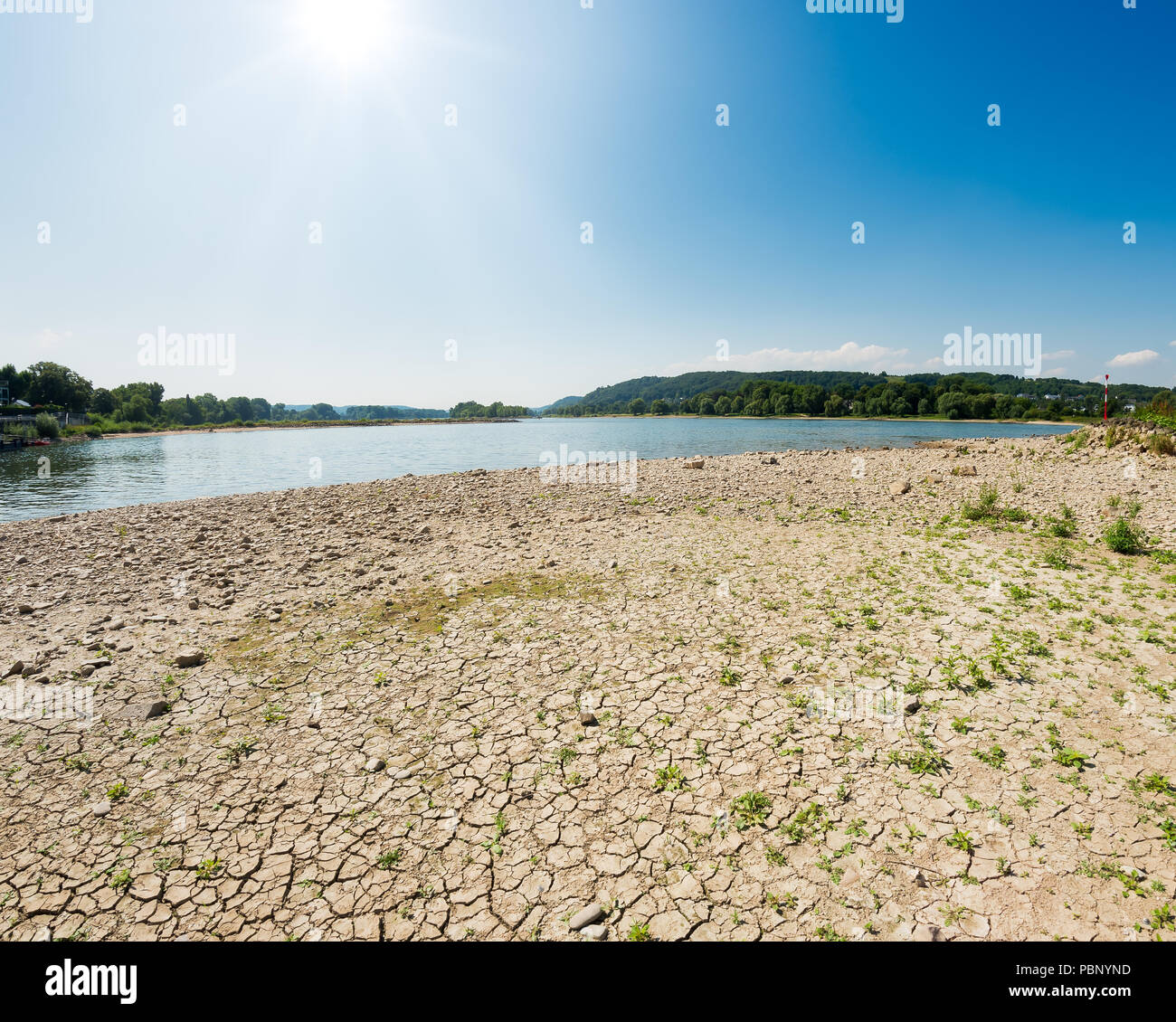 Dried-out riverbed with stones and sediments in the river Rhine, low water level between groins, caused by prolonged drought, NRW, Germany, Europe Stock Photo