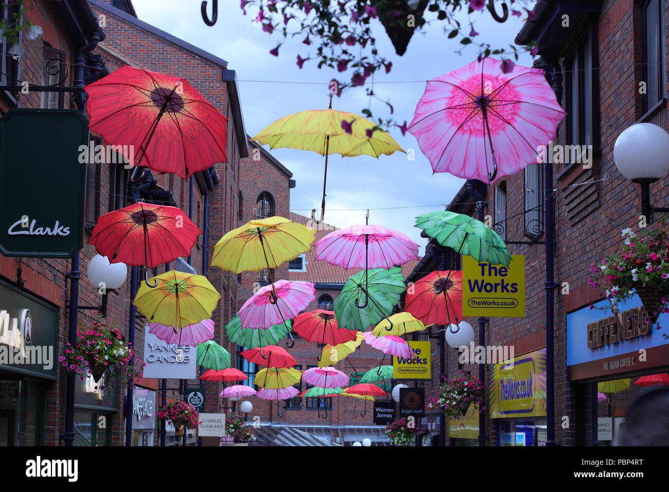 Coppergate in York where the street is full of colourful Umbrellas Stock Photo Alamy