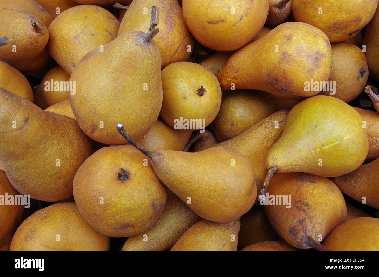 Bosc pears piled together Stock Photo Alamy