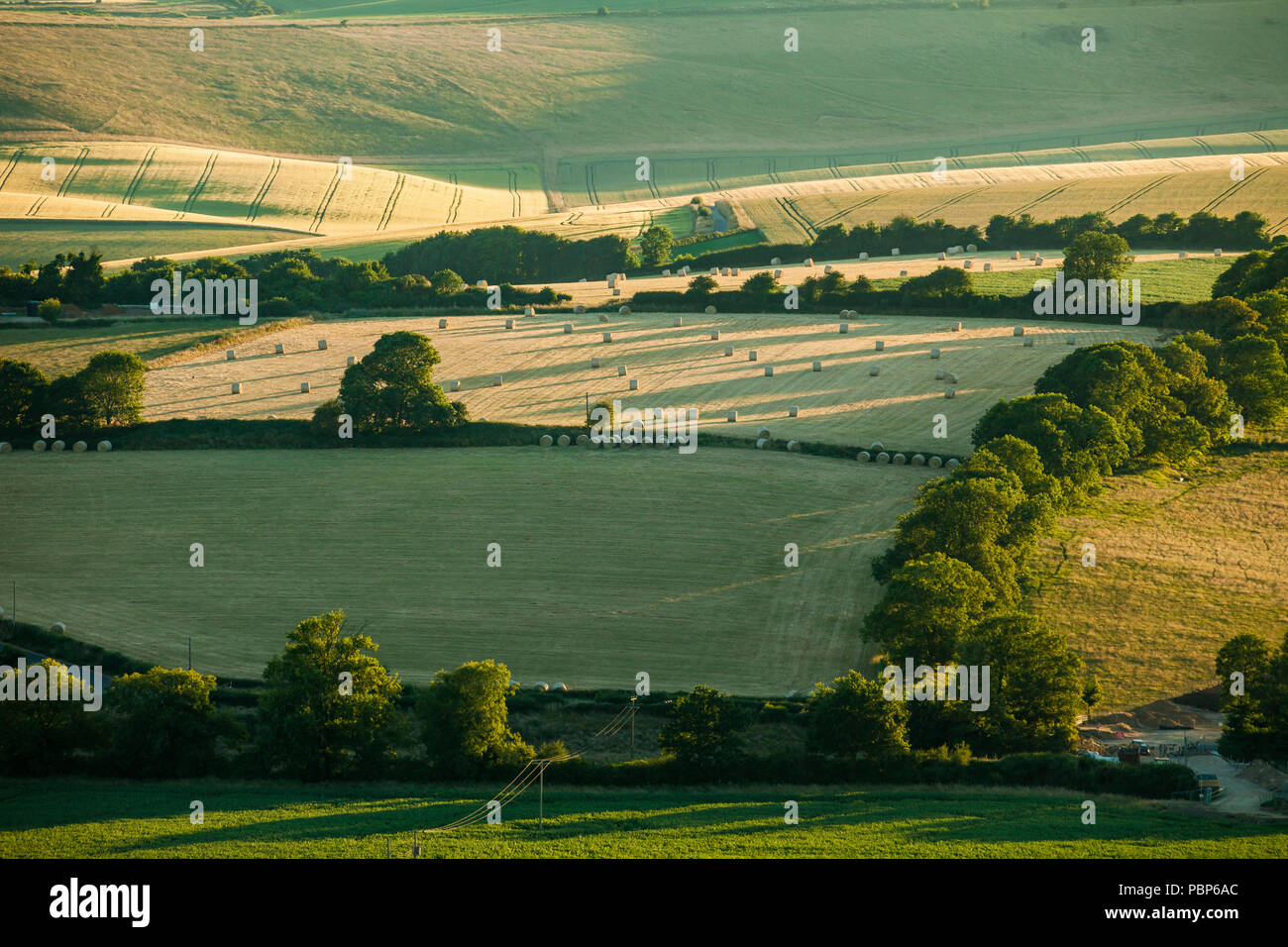 Summer evening on the South Downs near Brighton, West Sussex, England. Stock Photo