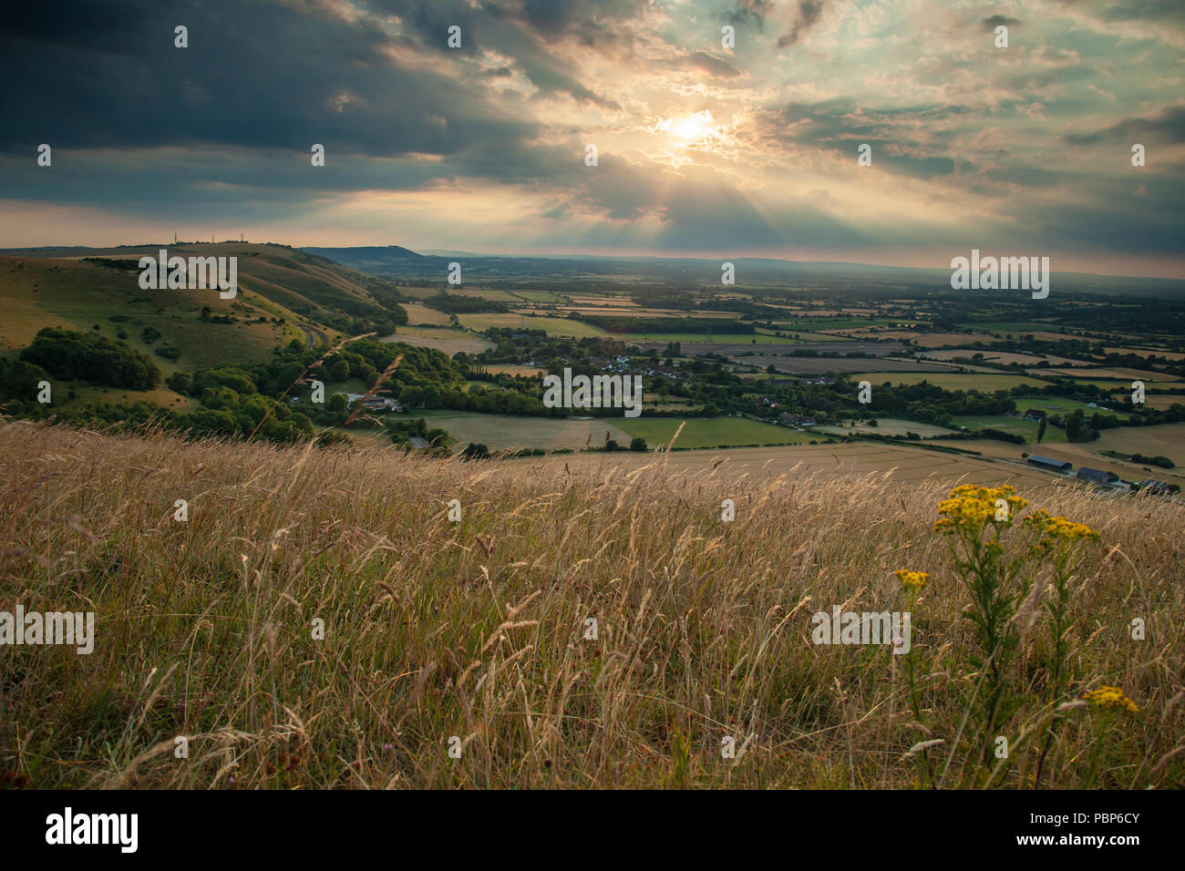 Summer evening on the South Downs, West Sussex, England. Stock Photo
