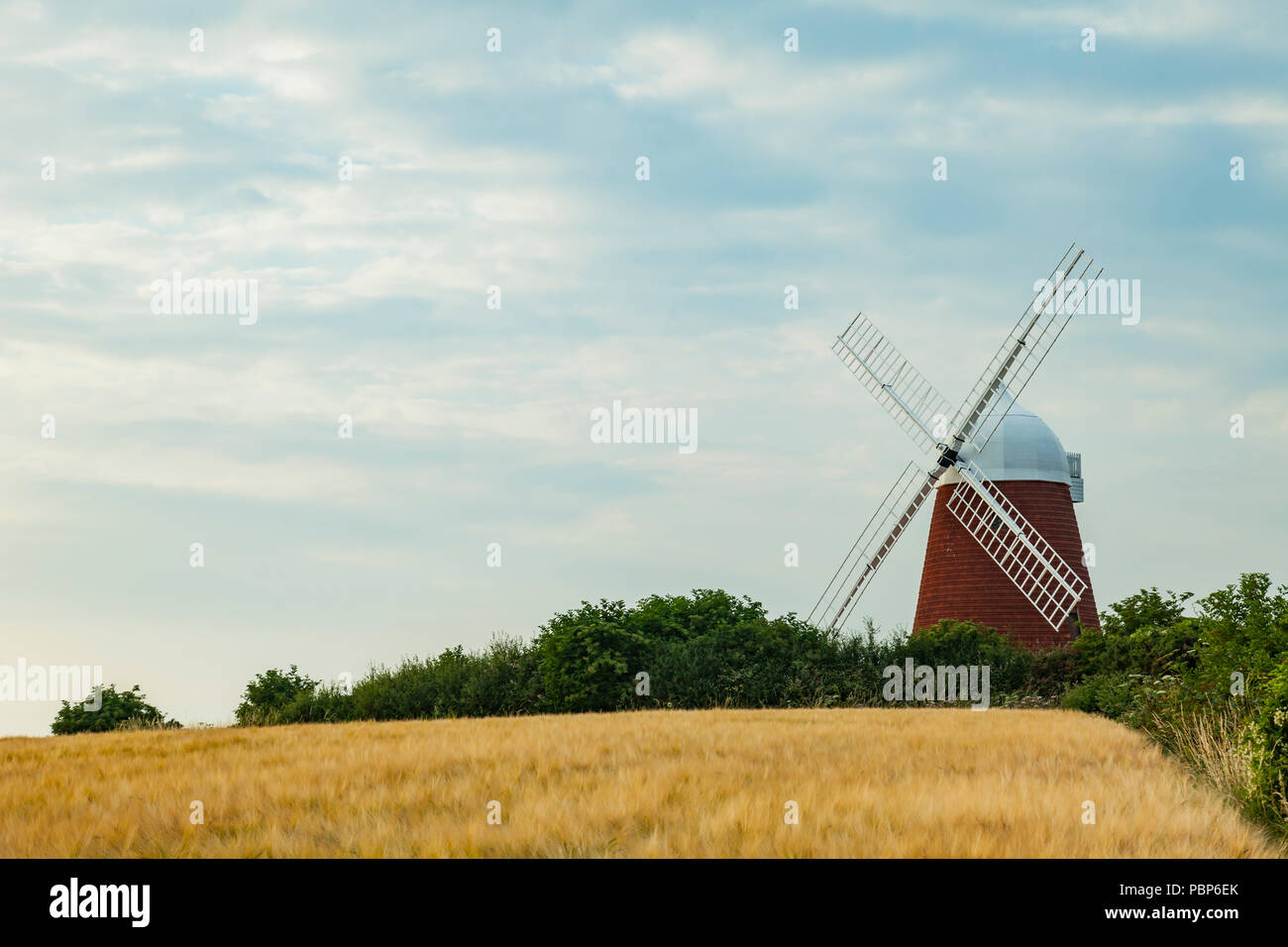 Summer evening at Halnaker windmill, West Sussex, England. Stock Photo