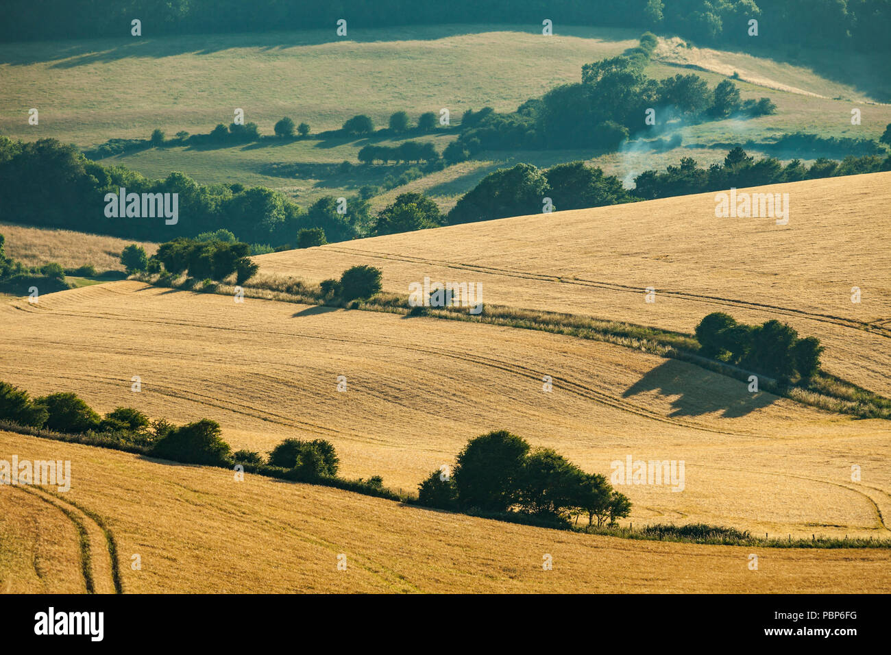 Summer afternoon in South Downs National Park, East Sussex, England. Stock Photo