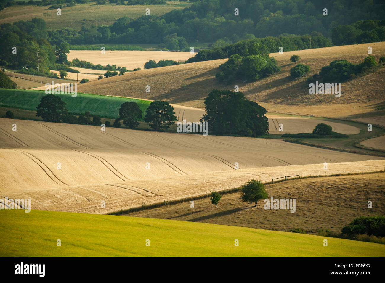 Summer afternoon in South Downs National Park, West Sussex, England