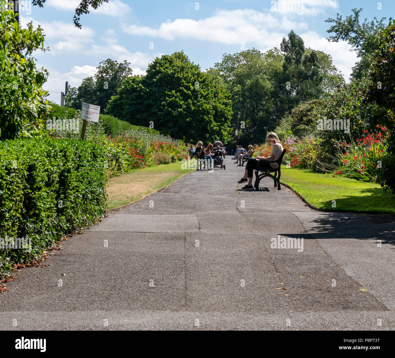 People relaxing at Botanic Gardens, Belfast on a sunny Summer afternoon Stock Photo