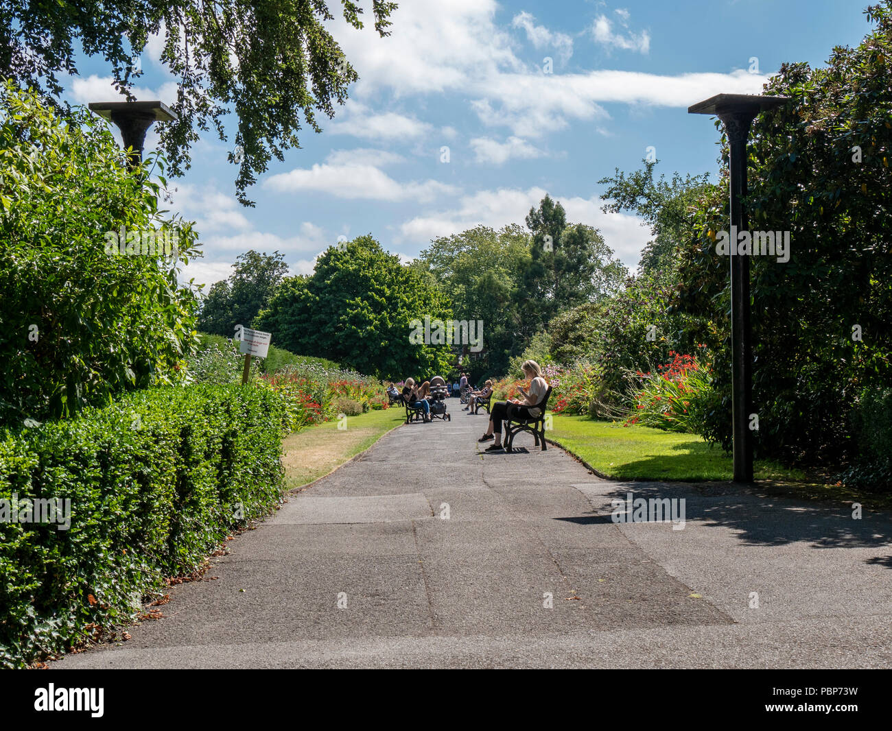 People relaxing at Botanic Gardens, Belfast on a sunny Summer afternoon Stock Photo