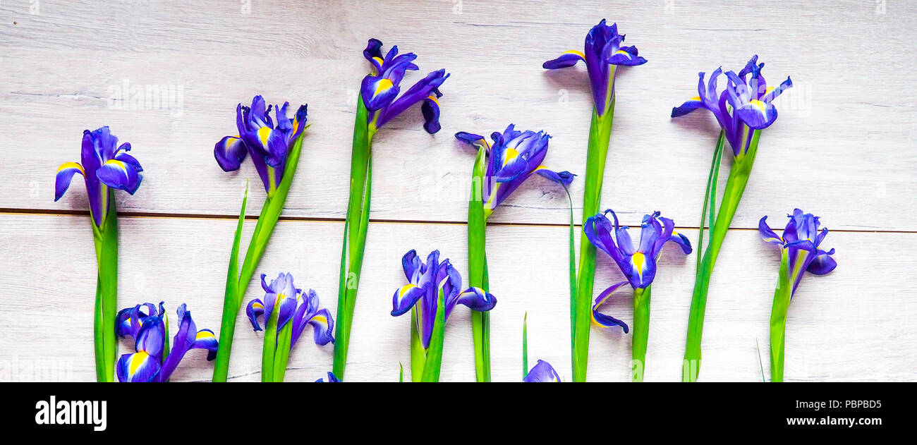 Beautiful iris flowers on wooden background, holiday, greeting card, space for text Stock Photo