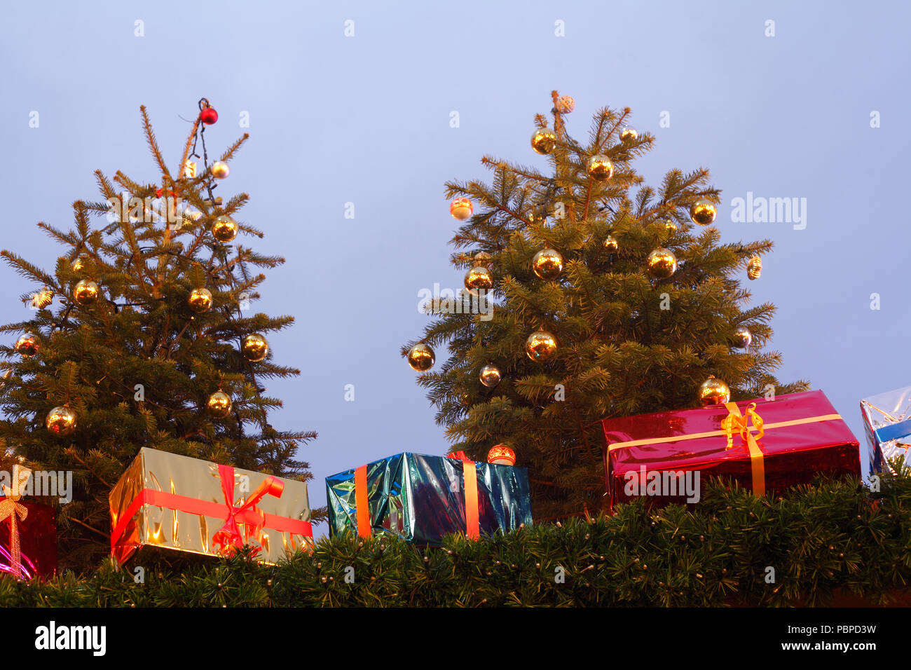 Illuminated fir trees and Christmas packages, Christmas decoration at dusk, Bremen, Germany, Europe  I Beleuchtete Tannenbäume und  Weihnachtspakete,  Stock Photo