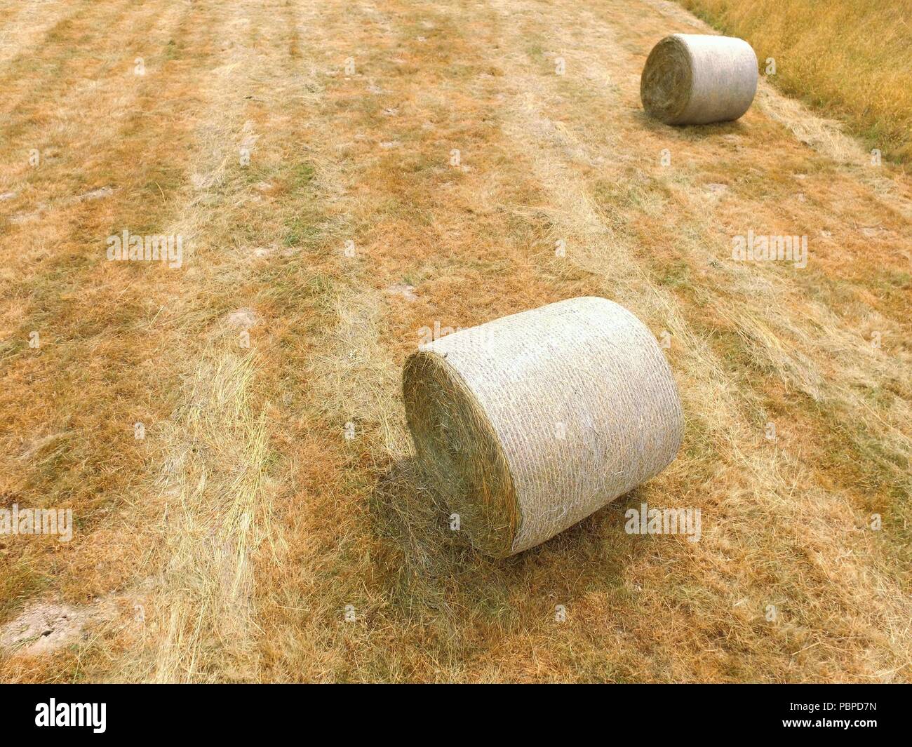 Aerial image of hay bales in a West Sussex farm field during the hot ...
