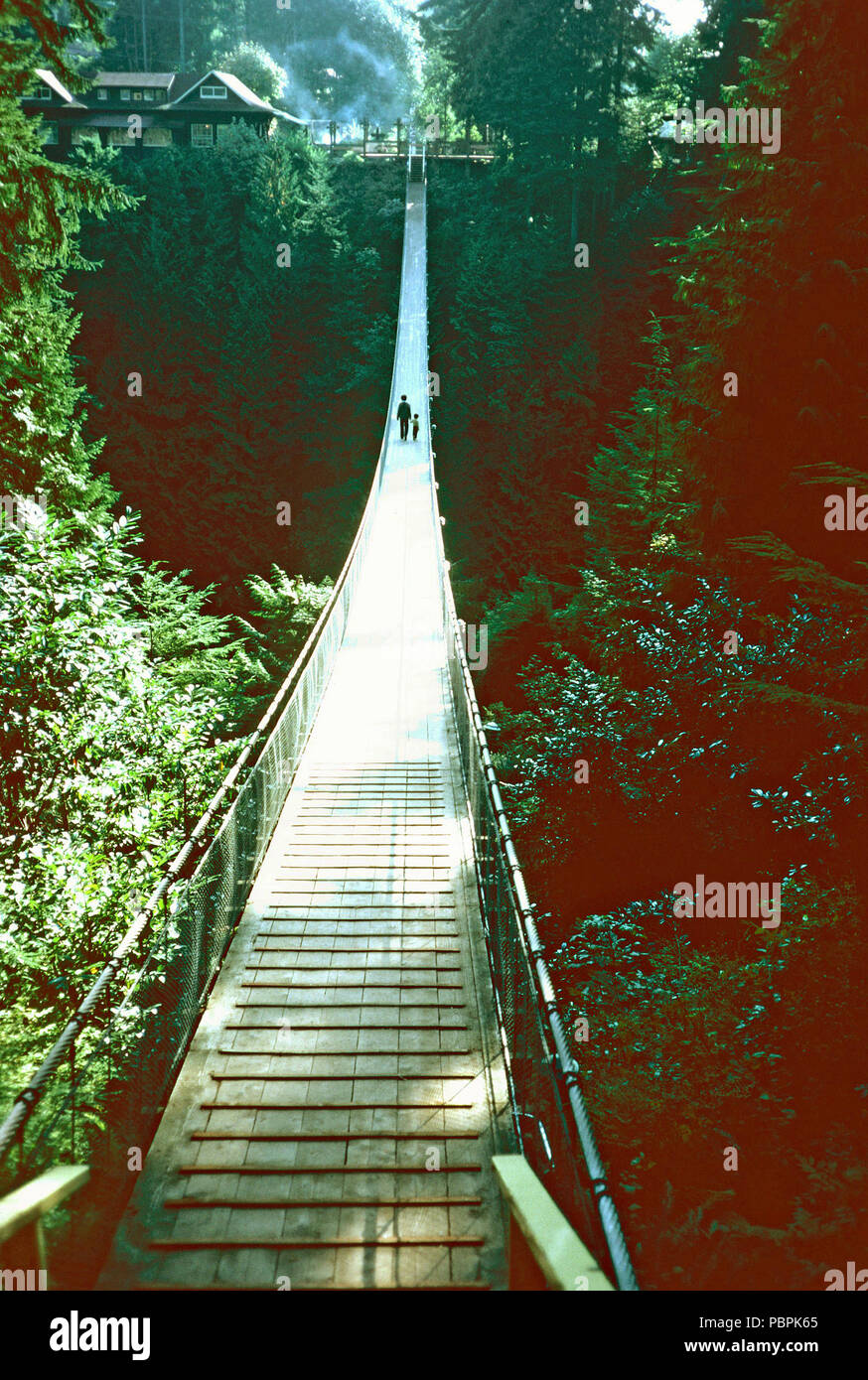 Lynn Canyon Suspension Bridge,Vancouver,British Columbia Stock Photo