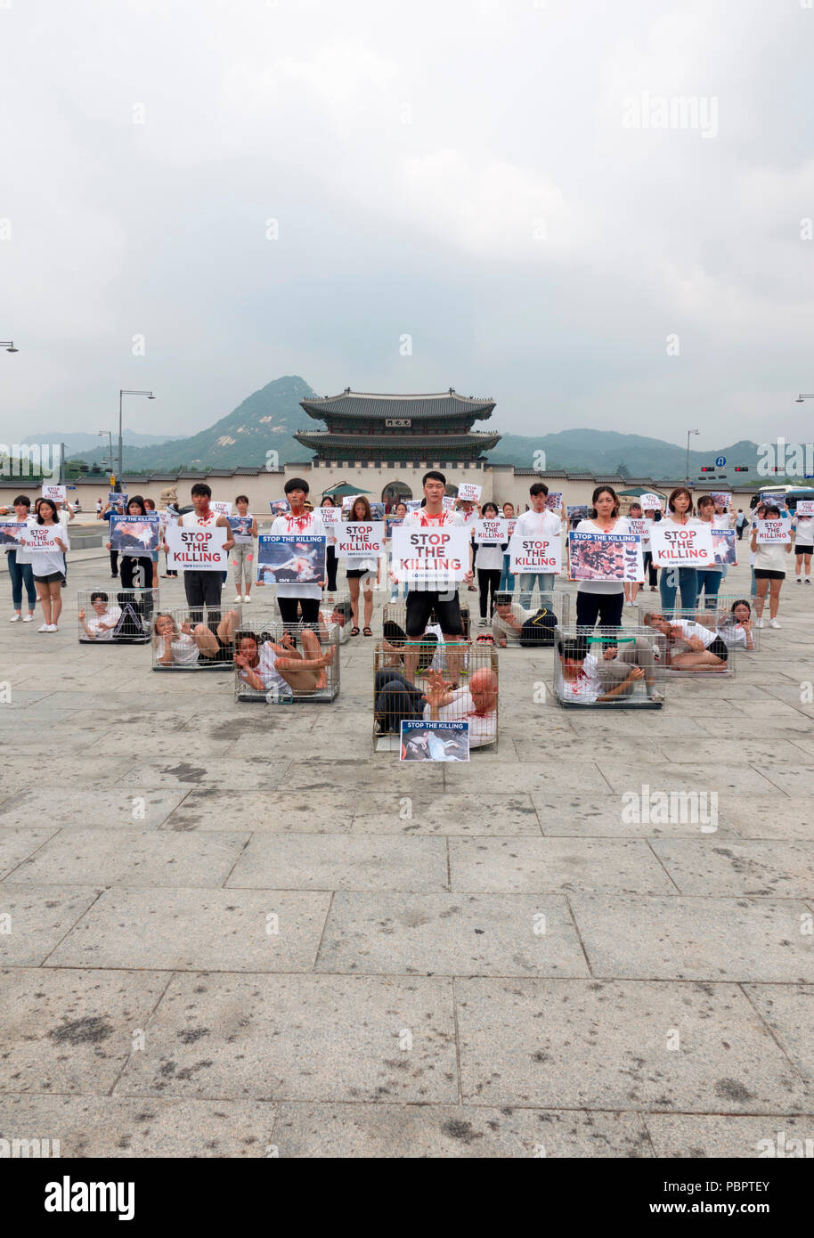 Animal advocacy campaign, July 28, 2018 : Members of an animal advocacy group perform during a campaign against dog meat in Seoul, South Korea. Dogs had been slaughtered for meat as a summertime delicacy like ginseng chicken soup typically during the Bok Nal summer season in Korea. The practice has faded markedly in recent decades amid strong objection to killing dogs for meat but animal protection groups claim thousands of dogs are slaughtered every day, local media reported. Credit: Lee Jae-Won/AFLO/Alamy Live News Stock Photo
