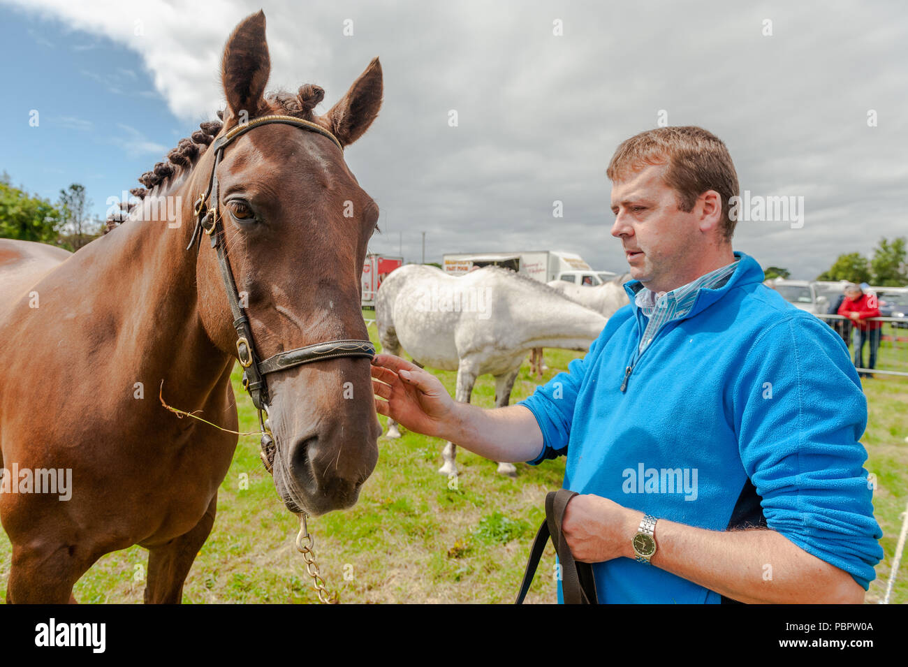 Schull, West Cork, Ireland. 29th July, 2018. Schull Agricultural Show is underway in blazing sunshine with hundreds of people attending. Patrick Cronin from Ballylickey showed his Irish Draught horse 'Lady Mary'. Credit: Andy Gibson/Alamy Live News. Stock Photo