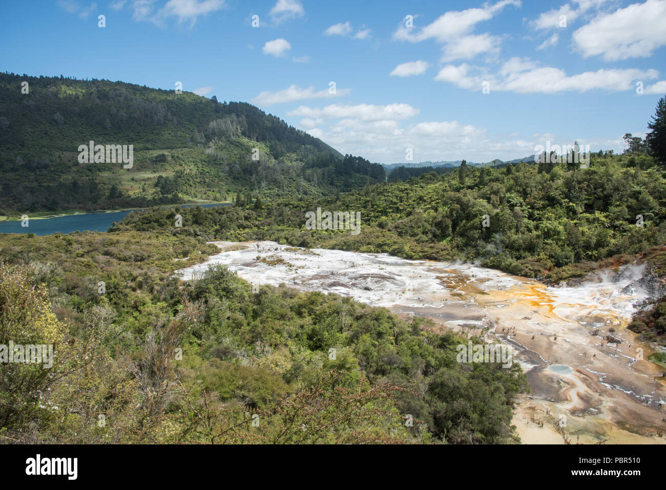 Elevated view over the silica flats and microbial mat at the geothermal area Orakei Korako in Rotorua, New Zealand Stock Photo